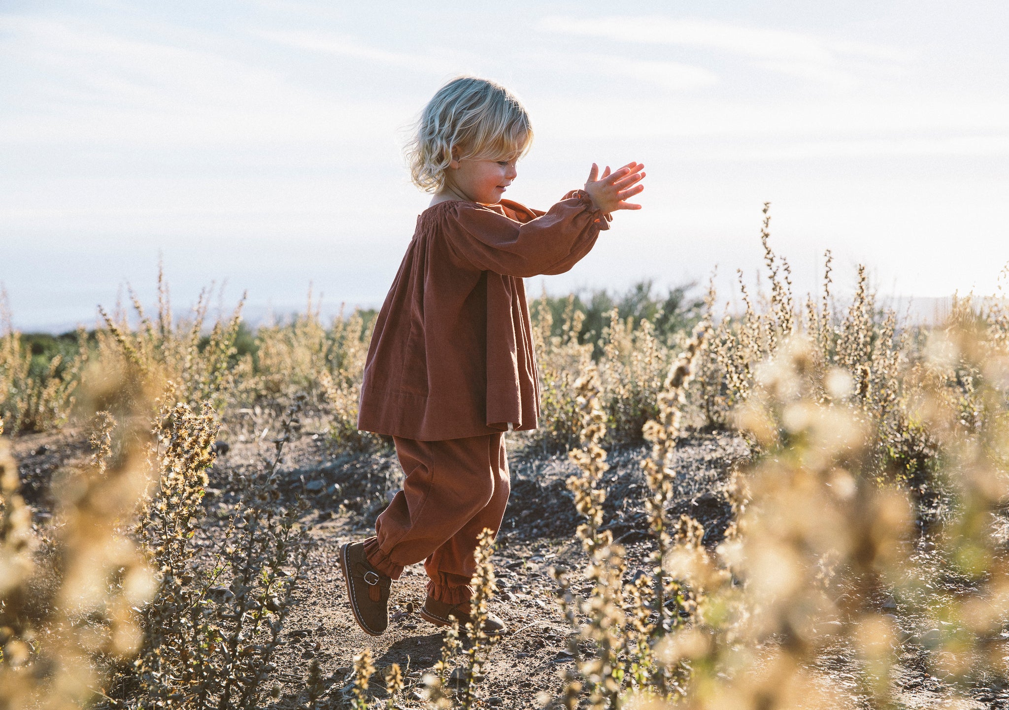 the adler blouse in currant