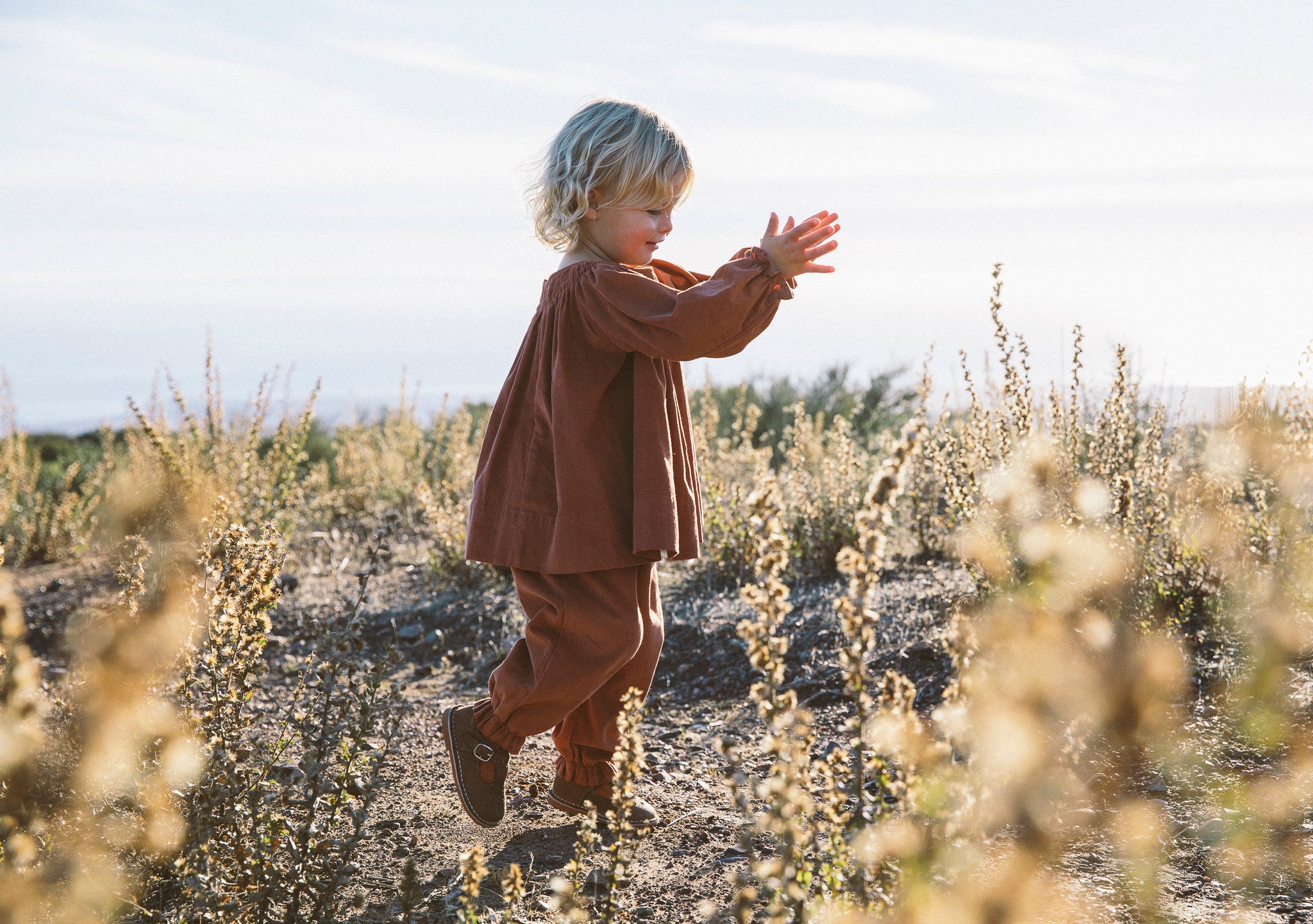 the adler blouse in currant