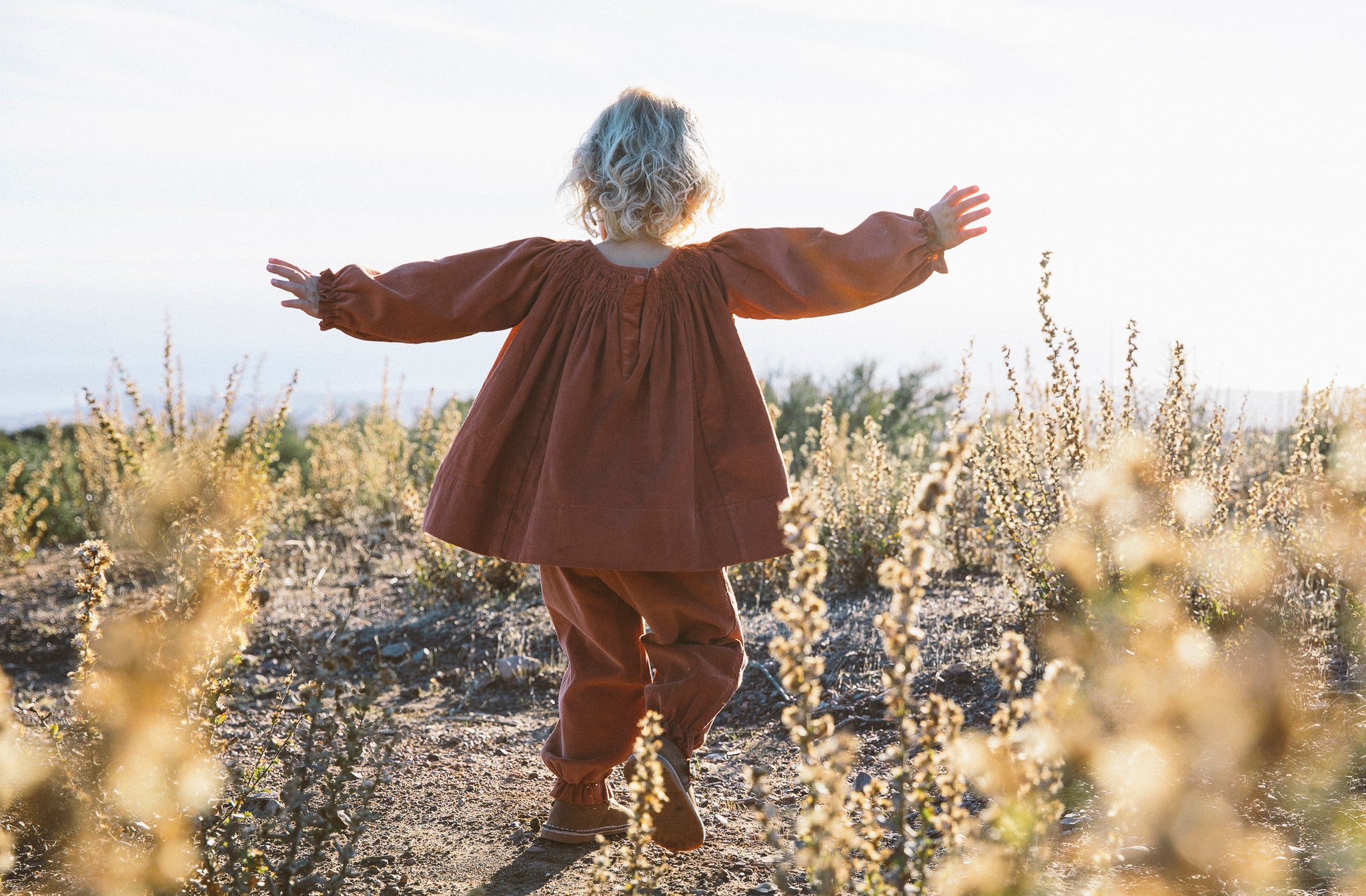 the adler blouse in currant