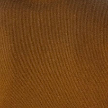 the Tia turtleneck in earth