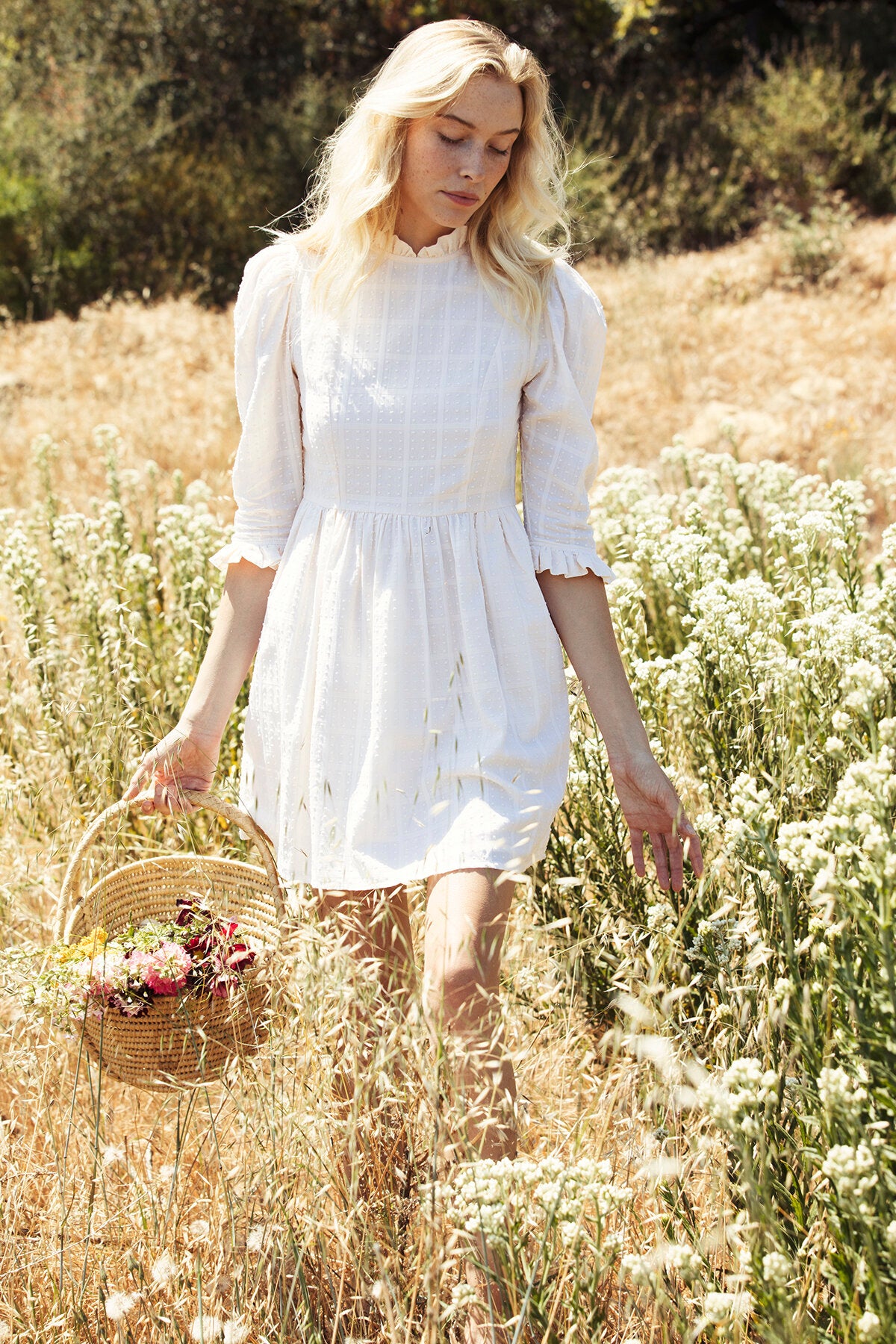 the scarlette dress in cream