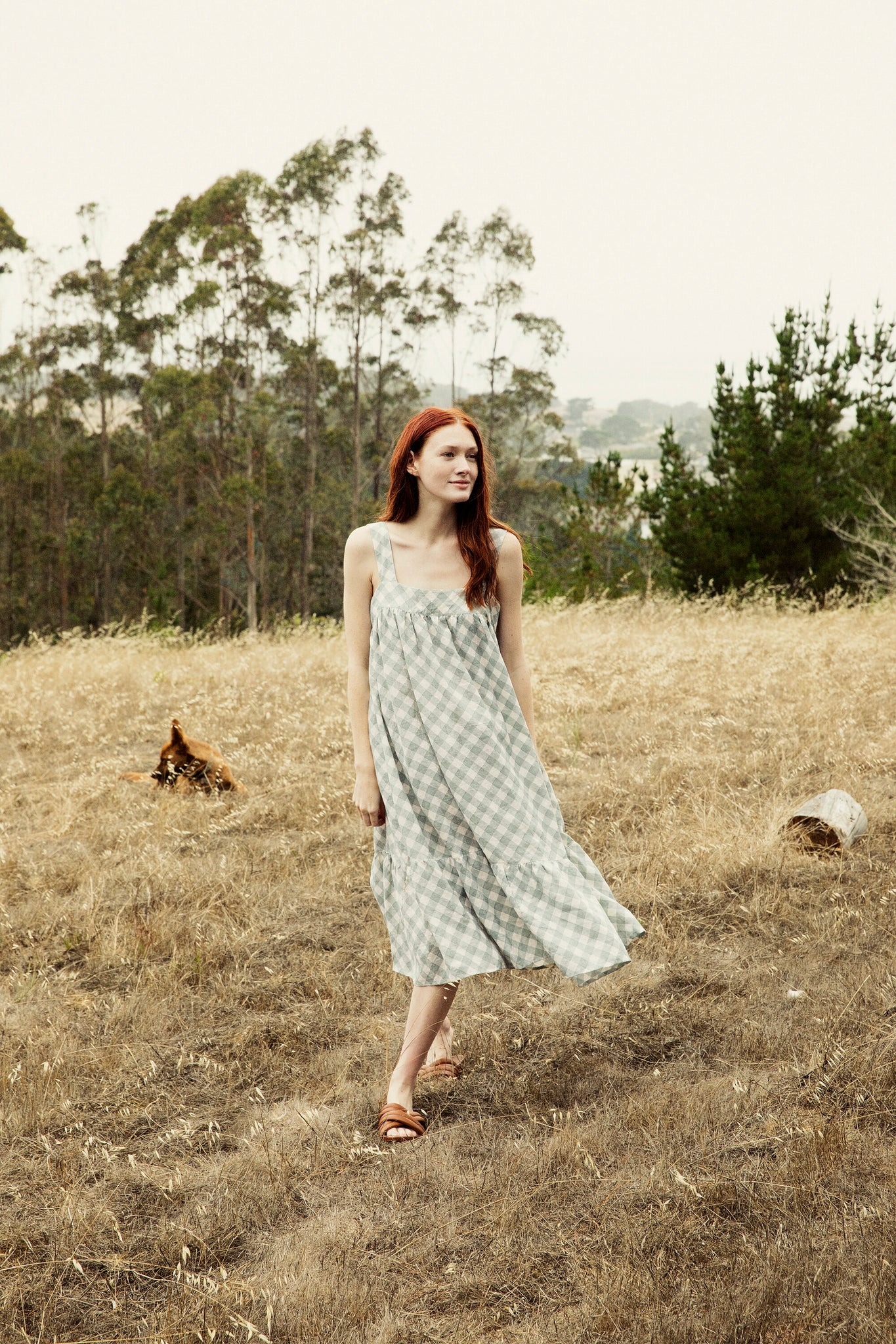 the addy dress in chambray gingham